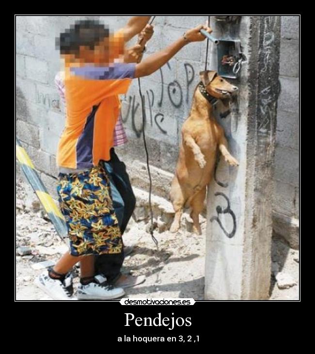 Pendejos -