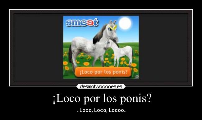 ¡Loco por los ponis? -