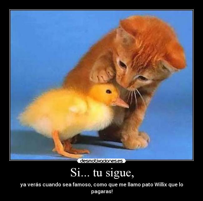 Si... tu sigue, -