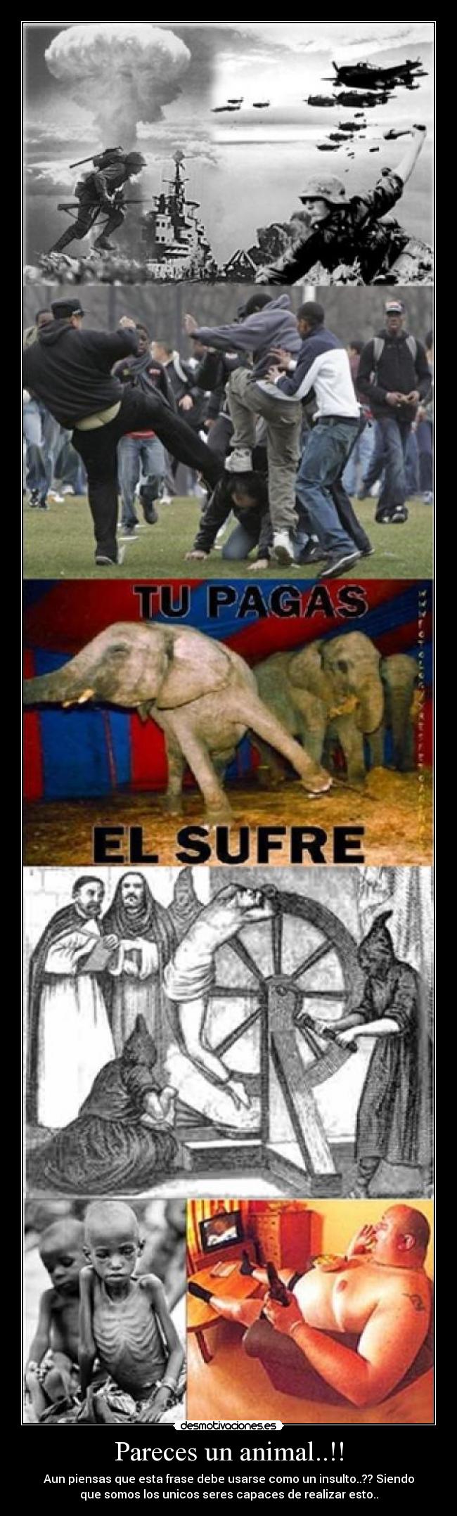 Pareces un animal..!! - Aun piensas que esta frase debe usarse como un insulto..?? Siendo
que somos los unicos seres capaces de realizar esto..