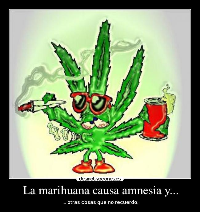 La marihuana causa amnesia y... - ... otras cosas que no recuerdo.