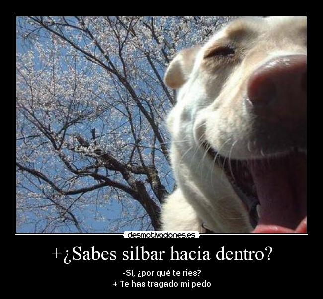 +¿Sabes silbar hacia dentro? - 