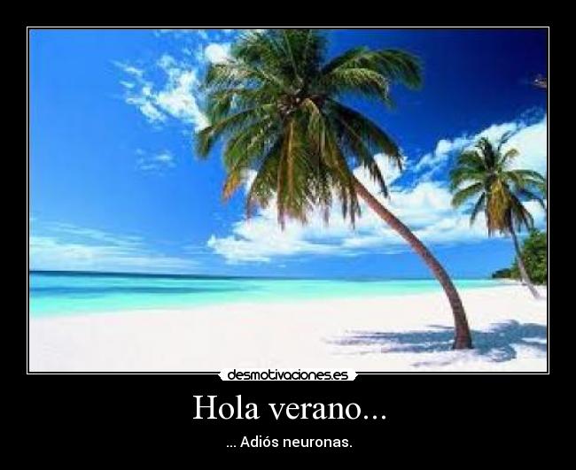 Hola verano... - ... Adiós neuronas.
