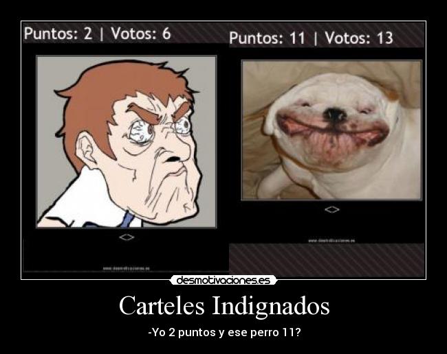 Carteles Indignados - -Yo 2 puntos y ese perro 11?