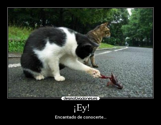 ¡Ey! -