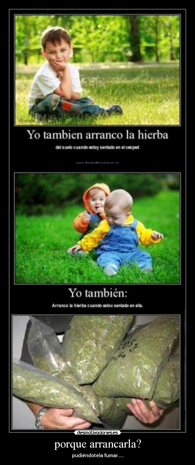 porque arrancarla? - pudiéndotela fumar.....