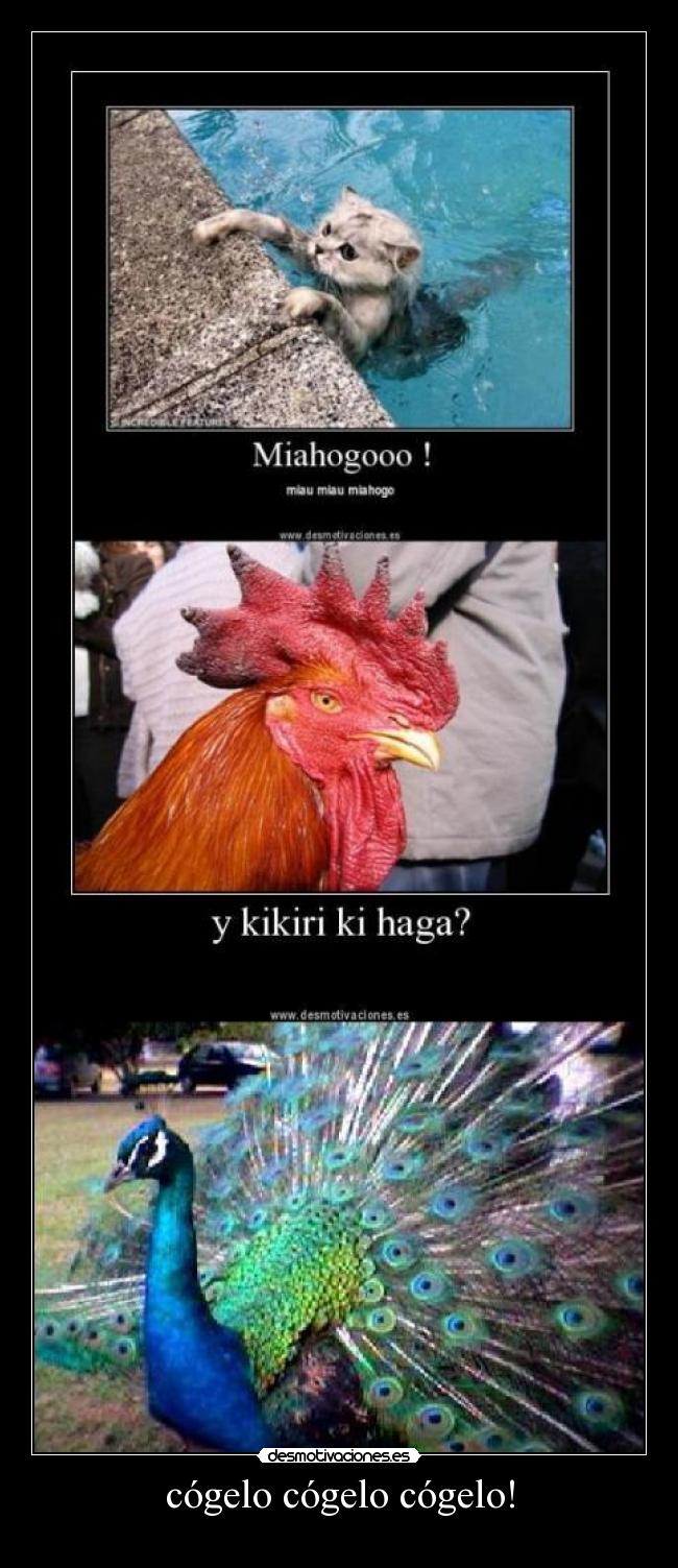 carteles lol desmotivaciones