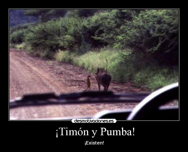¡Timón y Pumba! - ¡Existen!