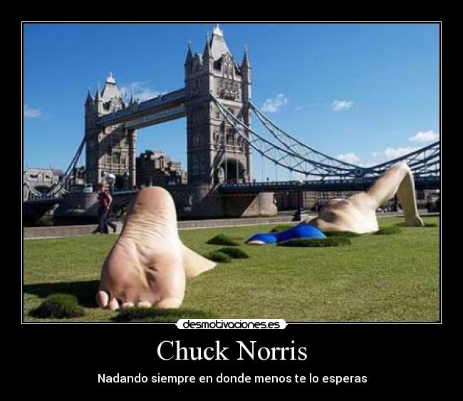 Chuck Norris - Nadando siempre en donde menos te lo esperas