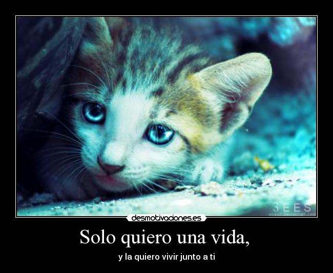 Solo quiero una vida, - y la quiero vivir junto a ti