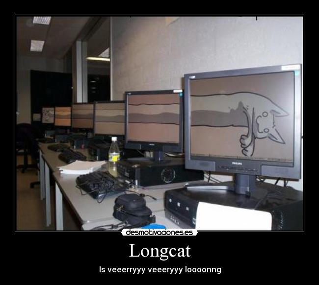 Longcat -