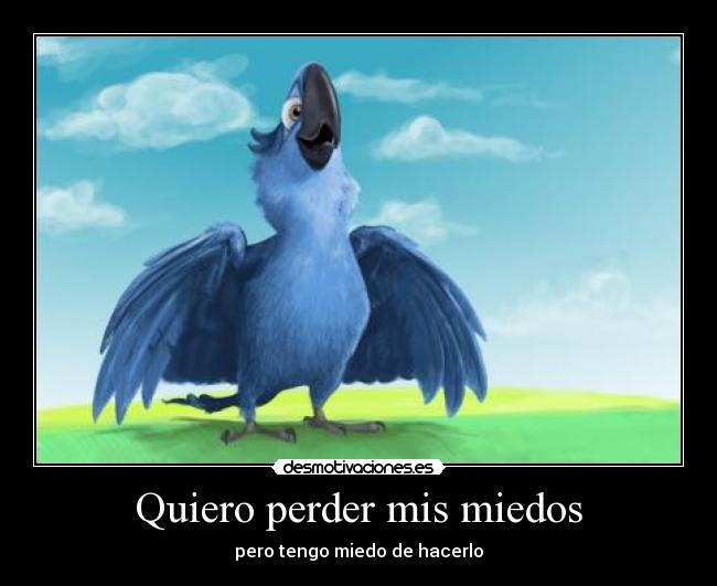 carteles guacamayo desmotivaciones