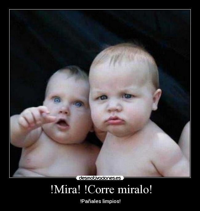 !Mira! !Corre miralo! -