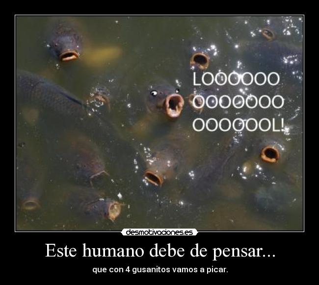 Este humano debe de pensar... -