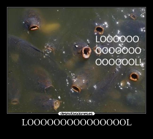 LOOOOOOOOOOOOOOOL -