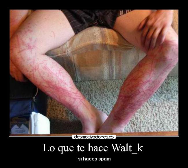 Lo que te hace Walt_k  - 