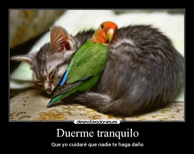 Duerme tranquilo -