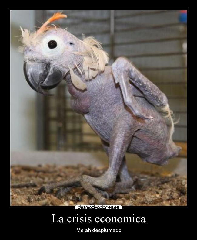 La crisis economica - Me ah desplumado