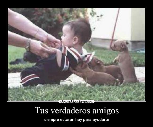 carteles amigos tus verdaderos amigos desmotivaciones