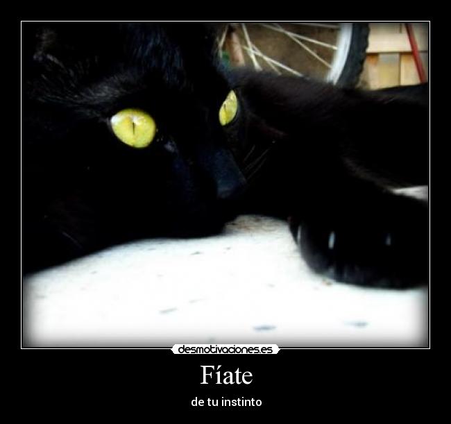 Fíate -