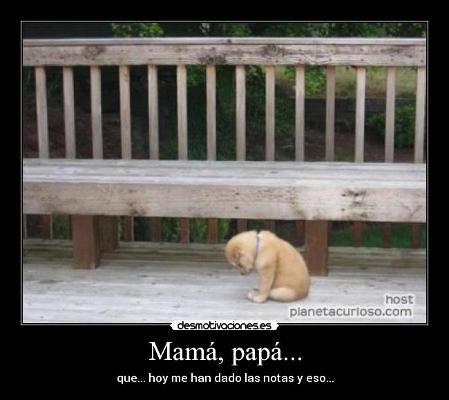 Mamá, papá... - que... hoy me han dado las notas y eso...