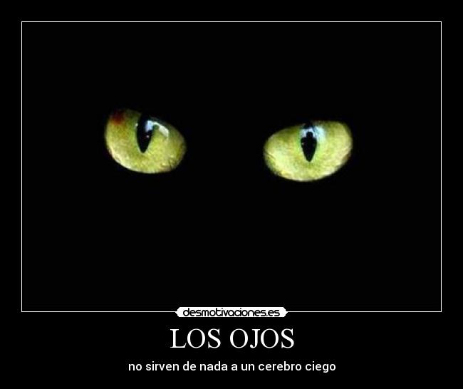 carteles sirven nada cerebro ciego ojos acv gatosmirada penetrante verde desmotivaciones