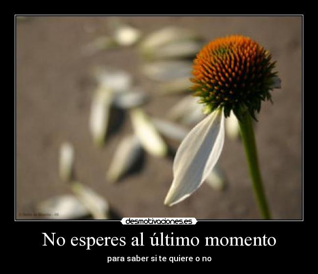 No esperes al último momento -