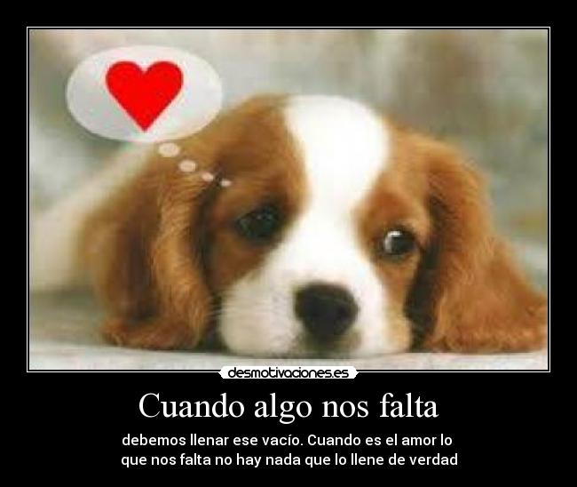 carteles amor desmotivaciones