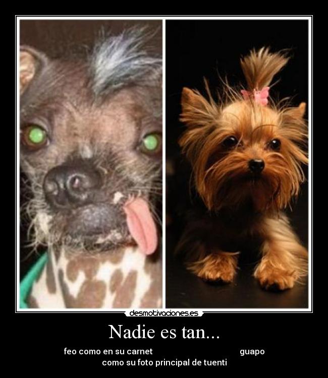 Nadie es tan... - 