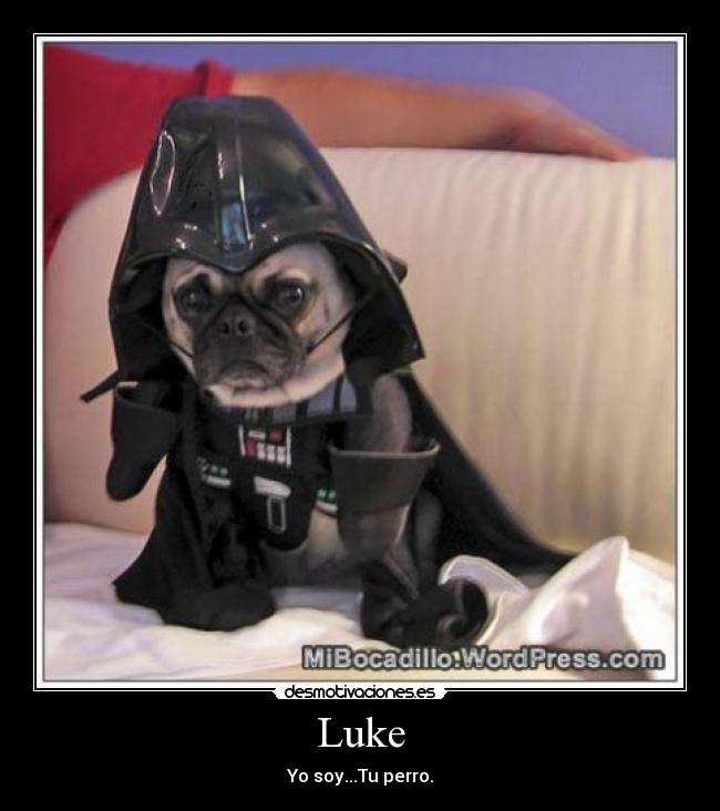 Luke - 