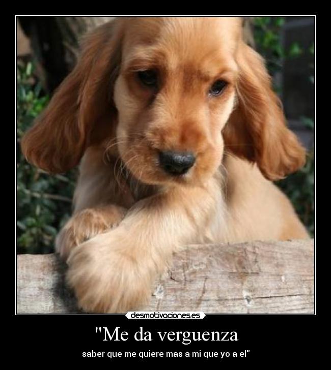 Me da verguenza -