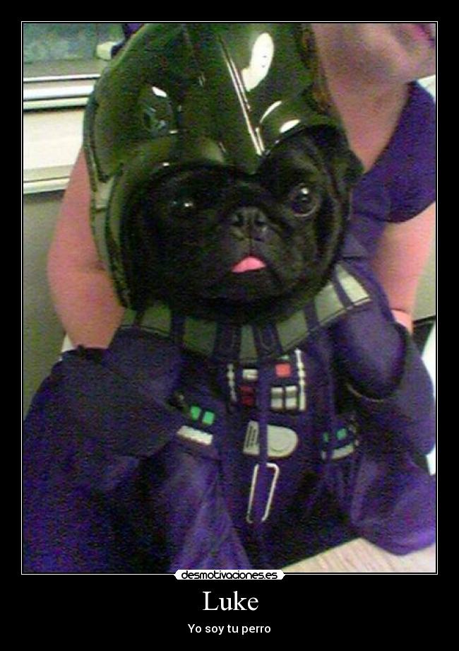 carteles perro luke darth vader gracioso carlino simpatico desmotivaciones