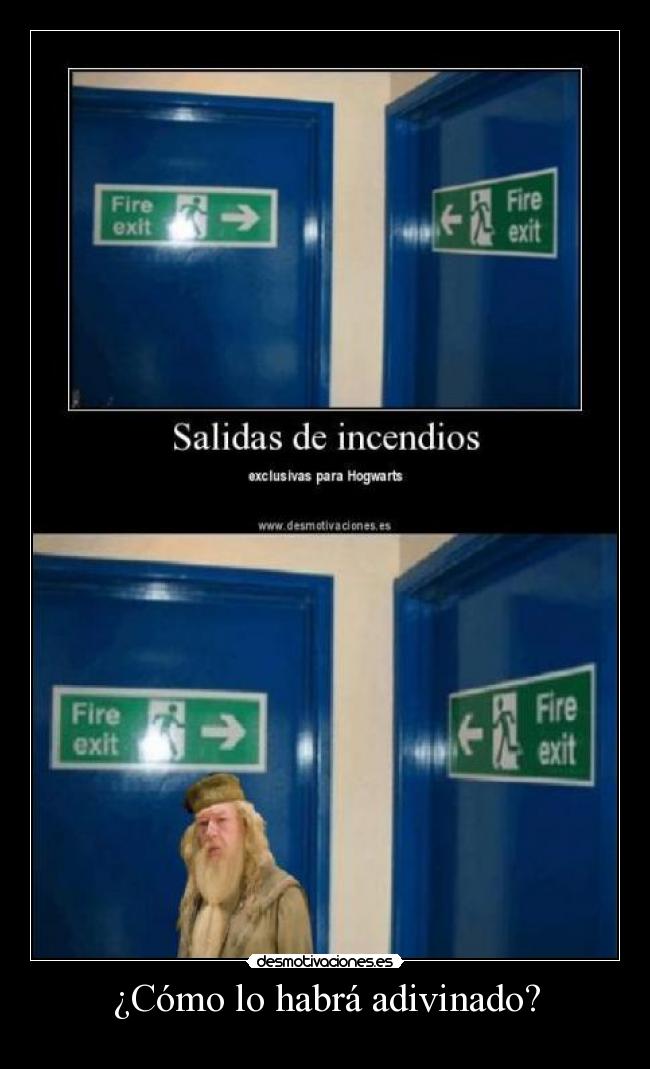 ¿Cómo lo habrá adivinado? -