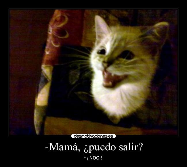 -Mamá, ¿puedo salir? - 