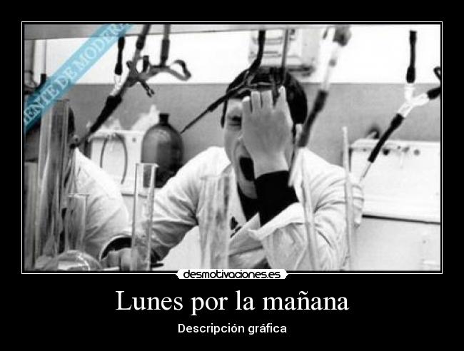 Lunes por la mañana - Descripción gráfica