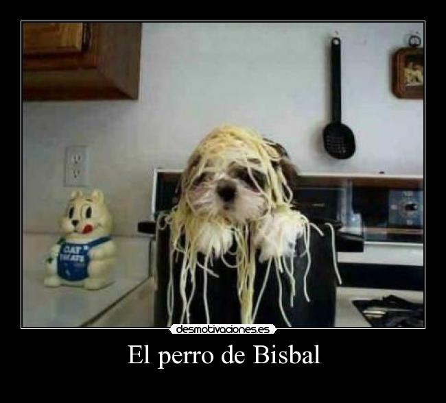 carteles bisbal perro desmotivaciones