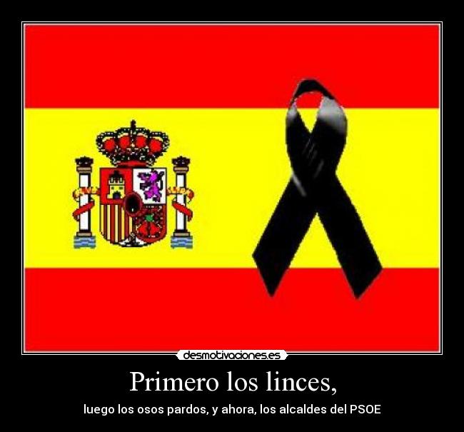 carteles punk41sum desmotivaciones