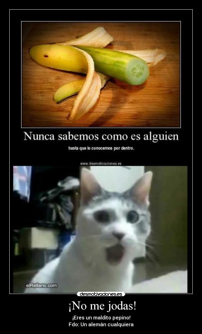 ¡No me jodas! - ¡Eres un maldito pepino!
Fdo: Un alemán cualquiera