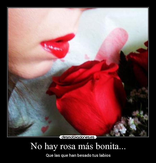 No hay rosa más bonita... - Que las que han besado tus labios