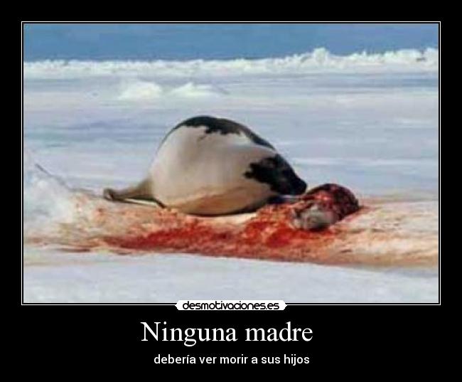Ninguna madre  - 