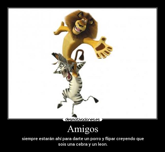 Amigos - 