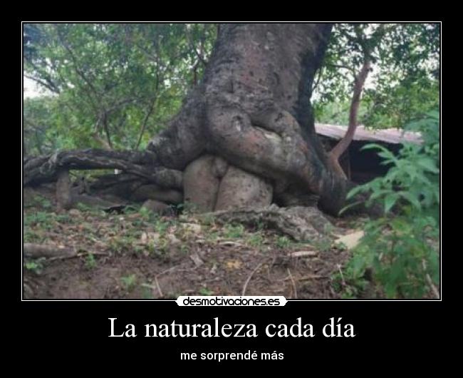 La naturaleza cada día - me sorprendé más