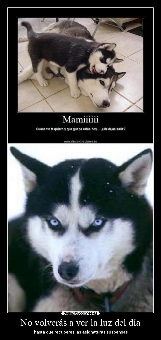 No volverás a ver la luz del día - 