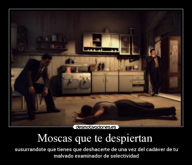 Moscas que te despiertan  - 