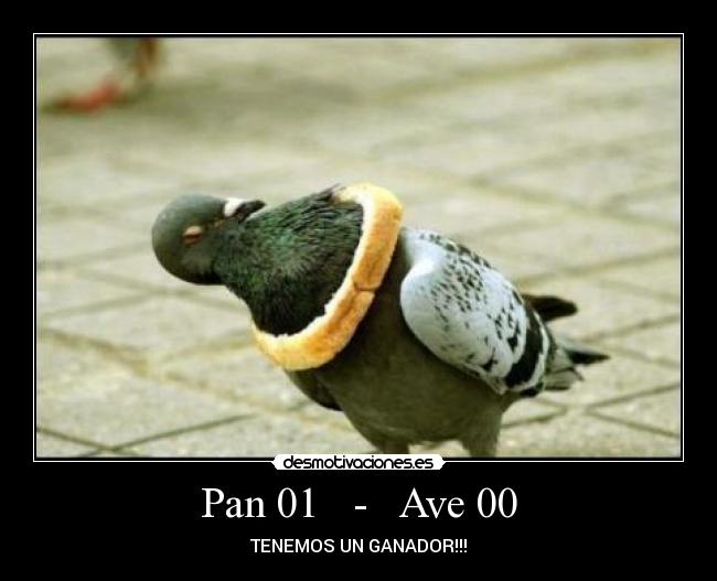 Pan 01   -   Ave 00 - TENEMOS UN GANADOR!!!