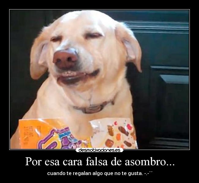Por esa cara falsa de asombro... -