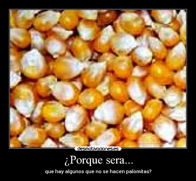 ¿Porque sera... - que hay algunos que no se hacen palomitas?