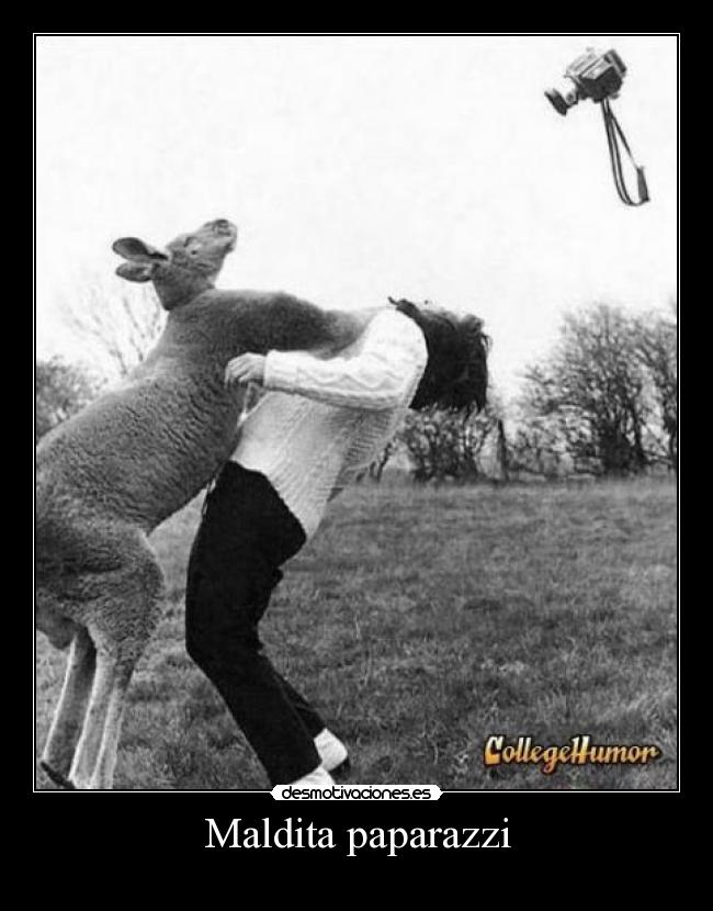 Maldita paparazzi -