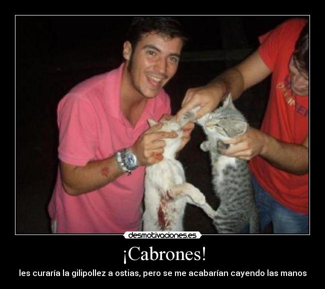 ¡Cabrones! -