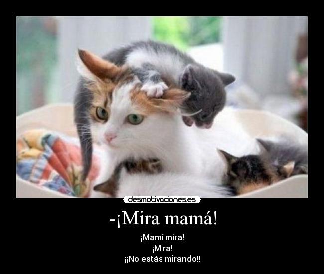 -¡Mira mamá! - ¡Mamí mira!
¡Mira!
¡¡No estás mirando!!